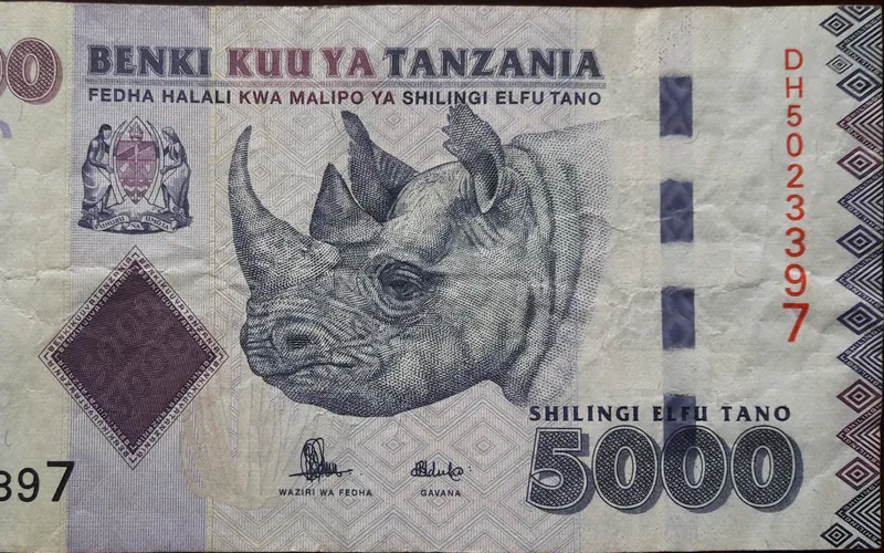 Tanzanian shilling banknotes