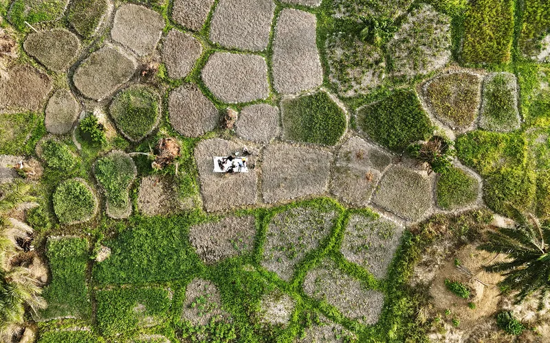 Aerial view of farmland and plots