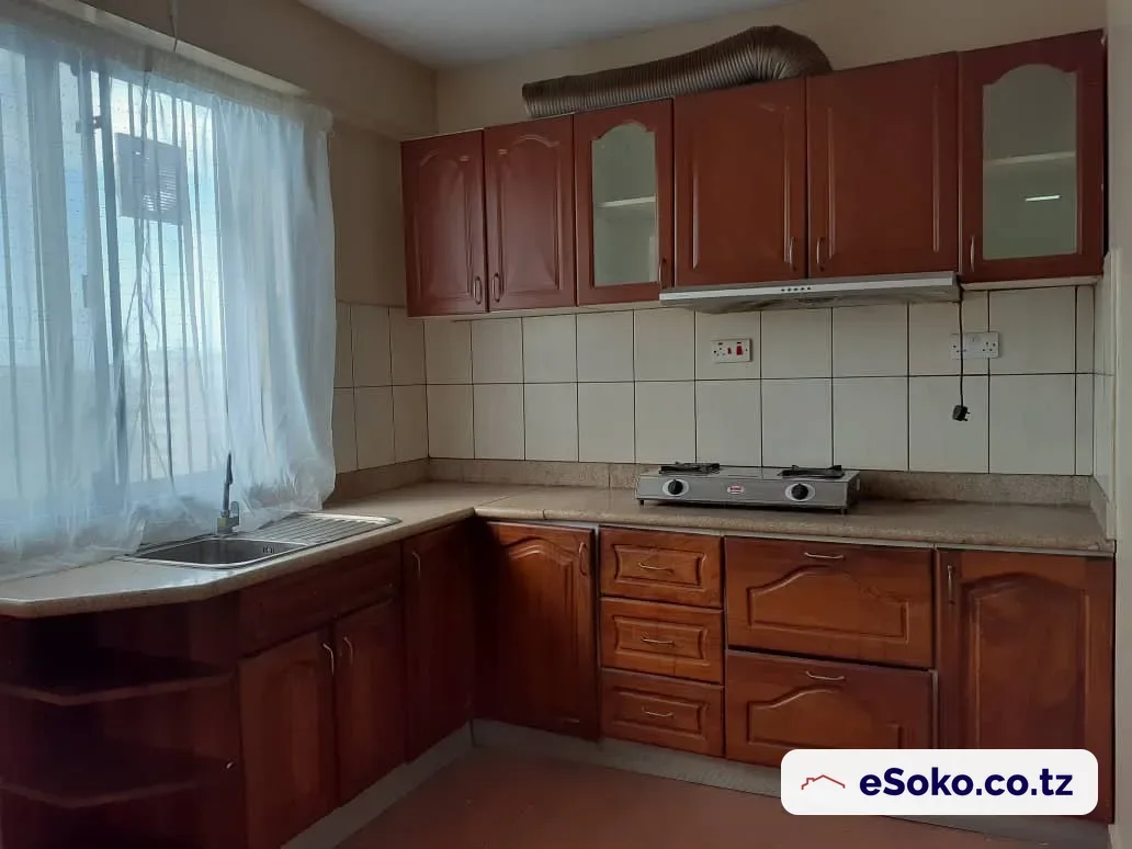 Fully Furnished 2 Bedroom Apartment in City centre — photo 3