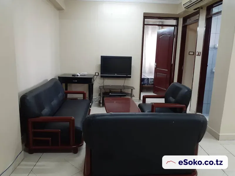 Fully Furnished 2 Bedroom Apartment in City centre