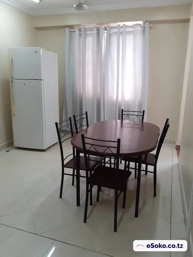 Fully Furnished 2 Bedroom Apartment in City centre — photo 2